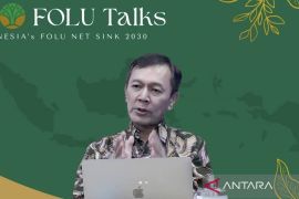 Perdagangan karbon sukarela buka jalan pendanaan iklim, inovasi hijau