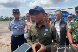 Karhutla di Rohil diyakini karena sengaja dibakar