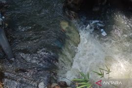 Petani Mukomuko belum berani tanam padi