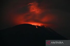 PVMBG catat 1.387 kali erupsi di puncak gunung Ile Lewotolok Lembata