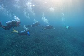 Ditpolairud Malut tingkatkan keterampilan personel di bidang selam