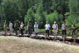 Polda Malut hijaukan pesisir melalui penanaman mangrove
