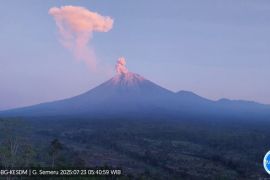 Gunung Semeru terus tunjukkan aktivitasnya, tinggi letusan capai 1.000 m