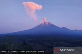 Semeru 5 kali erupsi Rabu pagi, letusannya capai 1000 meter
