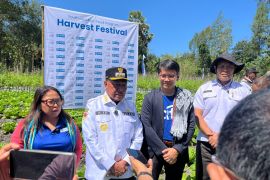 Pemkab TTS nilai panen holtikultura hasil petani muda binaan Plan bisa mendukung MBG