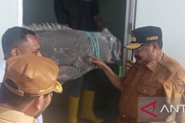 Pemkab Biak: Sektor perikanan-pariwisata menjadi program unggulan