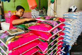 Harga beras di Aceh Barat naik tajam capai Rp250 ribu/15 kg