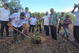 Pemkab berdayakan ekonomi masyarakat Jayapura melalui komoditas kopi