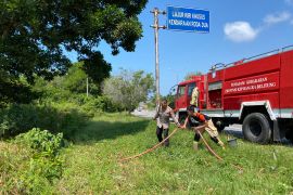 Polda Babel-Damkar gerak cepat padamkan Karhutla di jalur perkantoran gubernur