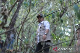 Wali Kota apresiasi petugas berhasil padamkan karhutla di Kota Solok