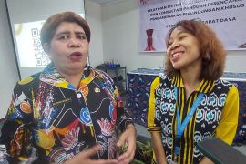 Pemprov PBD bentuk UPTD tangani kekerasan perempuan-anak