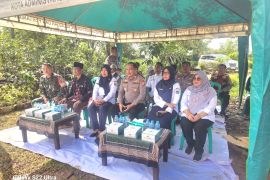 Polsek Cilincing inisiasi penanaman jagung ciptakan ketahanan pangan