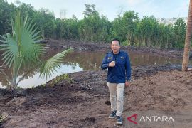 Mentaya Park, siap hadirkan wisata alam dan kekinian di tengah kota