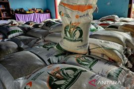 Pemkab Natuna pastikan kualitas beras bantuan pangan layak dikonsumsi