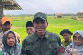 Masyarakat Desa Terusan gelar sedekah bersama