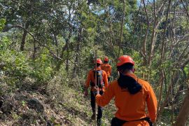Tim SAR melakukan pencarian nenek 63 tahun hilang di Kabupaten Sikka NTT