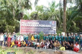 DLH Kotabaru bersama Minamas Plantation tanam pohon kurangi emisi