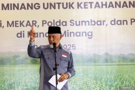Sumbar targetkan tanam 1.000 ha jagung Agustus untuk ketahanan pangan