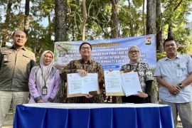 Kalsel pulihkan fungsi ekologis hutan kritis melalui pola kemitraan