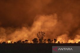 Kebakaran hutan dahsyat di Siprus tewaskan 2 orang, 23 luka-luka
