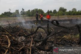 Upaya pemadaman kebakaran lahan gambut di Palangka Raya