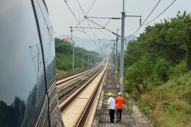 Gara-gara tabrak biawak, Whoosh telat 40 menit