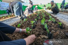 Pemkot luncurkan program Kendari Berkebun guna perkuat ketahanan pangan