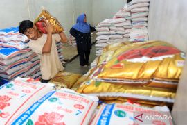 BPS: Kenaikan harga beras di tingkat grosir hingga eceran