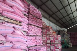 TPID Babel pastikan stok beras aman
