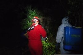 Tim Damkar BPBD Belitung berhasil evakuasi sarang tawon vespa