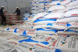 Pemerintah Aceh relokasi 1.831 ton pupuk subsidi dari Aceh Jaya