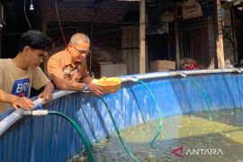 Pemkab Pasaman Barat terapkan tekhnologi bioflok upaya tingkatkan produksi ikan tawar