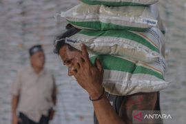 Amran tegaskan harga beras harus diturunkan sesuai kualitas