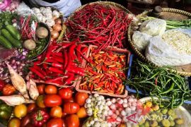 Harga cabai rawit Rp52.206 per kg, bawang merah Rp48.057 per kg