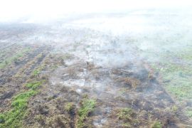 BPBD sebut sudah ada empat kecamatan di Sambas alami karhutala