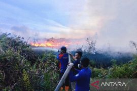 Karhutla masih berpotensi terjadi di Aceh hingga Agustus