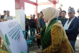 Wagub Babel ajak masyarakat melestarikan hutan mangrove