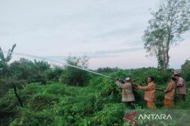 Pamekasan tetapkan status waspada kasus kebakaran lahan