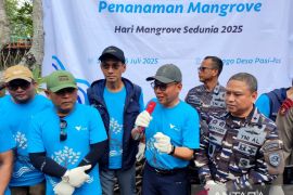 PT Vale kolaborasi dengan TNI AL aksi tanam mangrove dan restorasi karang di Malili