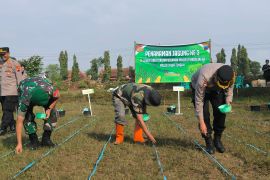 Polres  Purbalingga tanam jagung di sawah dukung swasembada pangan