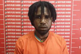 Satgas Damai Cartenz tangkap Wanggol Sobolim KKB di Yahukimo