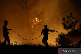 Kebakaran hutan di Jepang terus meluas, 3.000 orang dievakuasi