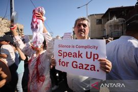 Presiden Mesir-Prancis bahas upaya gencatan senjata di Gaza