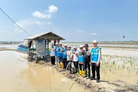 PLN Lampung dukung ketahanan pangan berbasis energi