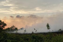 Kebakaran lahan di jalan Bandara Singkawang- Kalbar semakin meluas