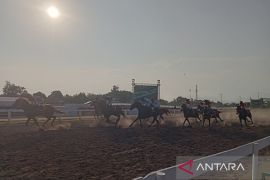 Sebanyak 156 kuda berlaga dalam IHR Indonesia Derby di Stadion Bantul