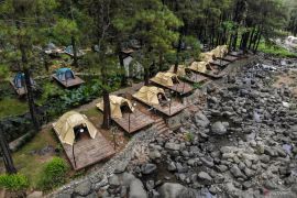 Potensi wisata hutan pinus Jolotundo di Nganjuk