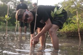 Ratusan bakau ditanam pemuda Lamongan sebagai upaya lindungi pantai