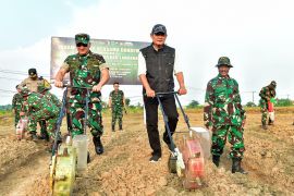TNI-Pemkab tanam jagung di Kampung Pandu dukung ketahanan pangan