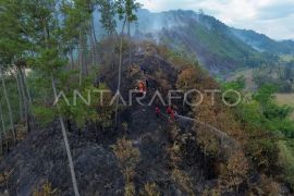 Upaya pemadaman karhutla di Limapuluh Kota Page 2 Small